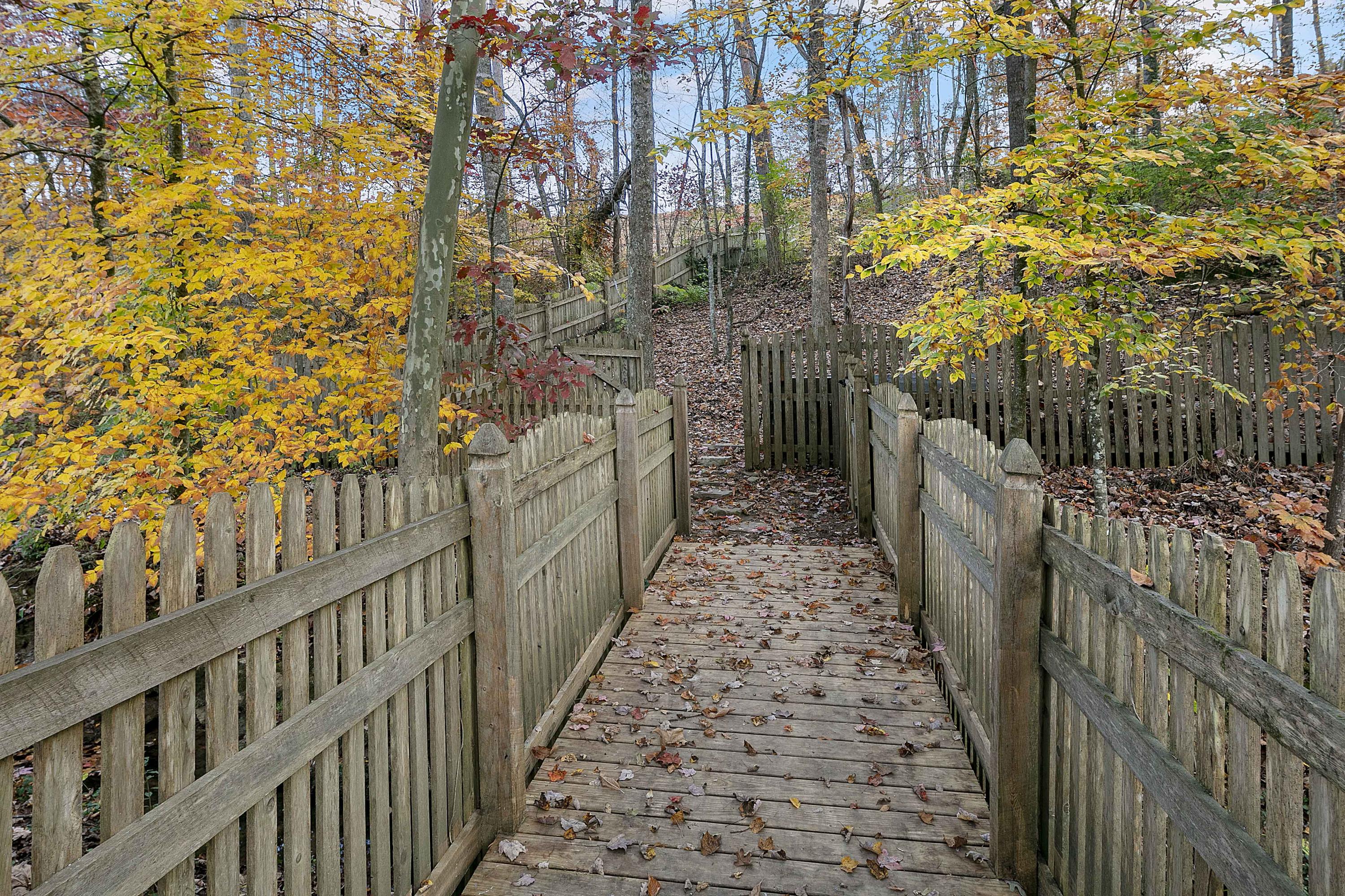 3237 Red Meadow Road Knoxville, TN 37931 - Photo 29 of 32 1L9A7523