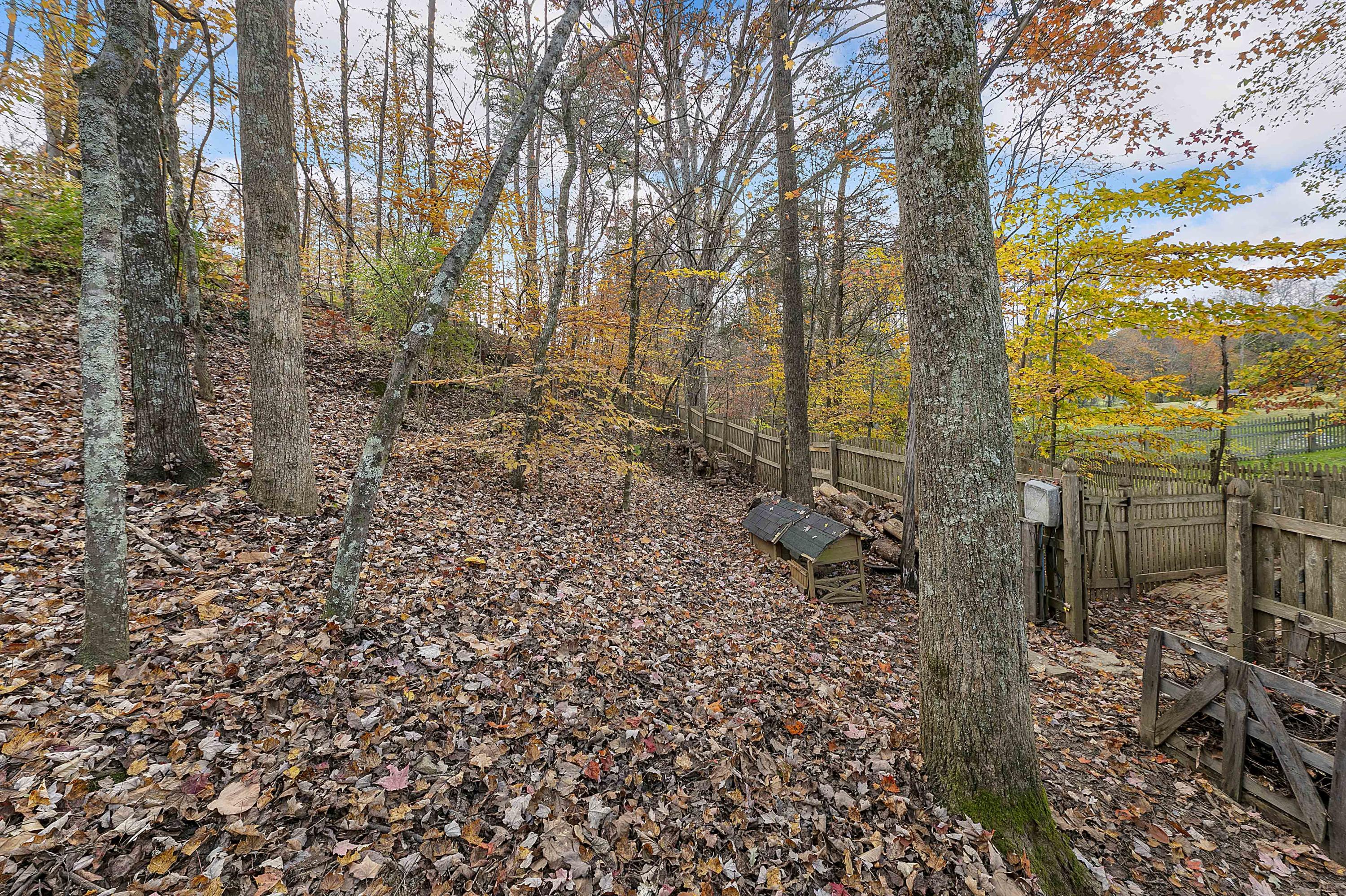 3237 Red Meadow Road Knoxville, TN 37931 - Photo 31 of 32 1L9A7529