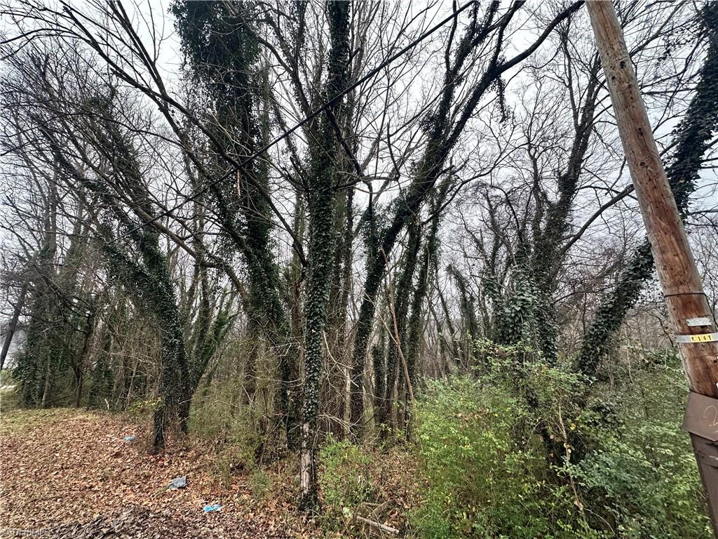 0 Short Morgan Street Eden, NC 27288 - Photo 3 of 4