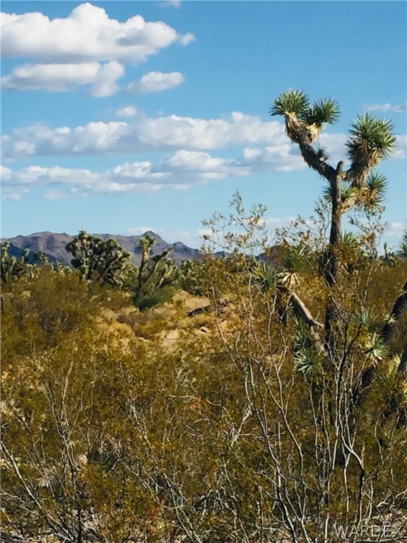 2363 South Gold Mine Road Yucca, AZ 86438 - Photo 1 of 9 Gallery Image 1