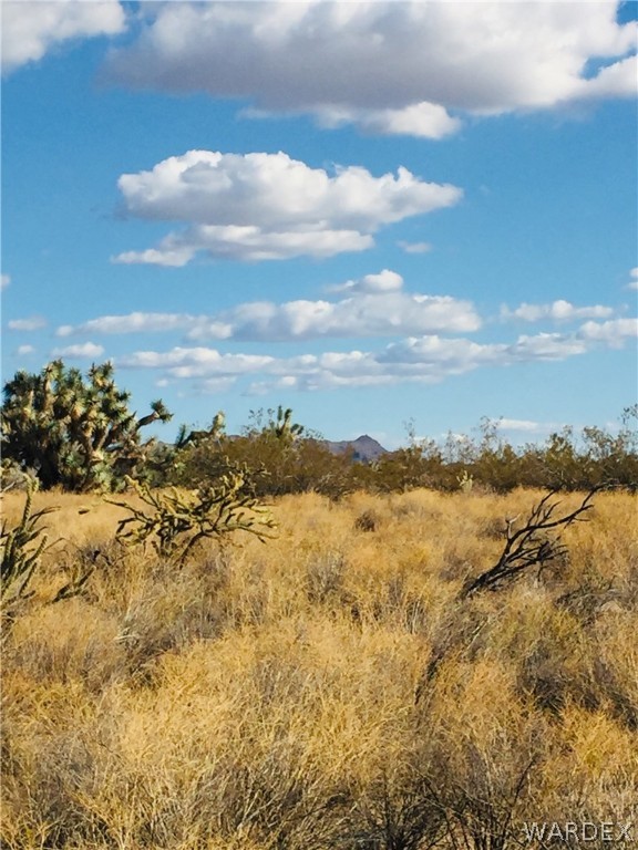 2363 South Gold Mine Road Yucca, AZ 86438 - Photo 3 of 9 Gallery Image 3