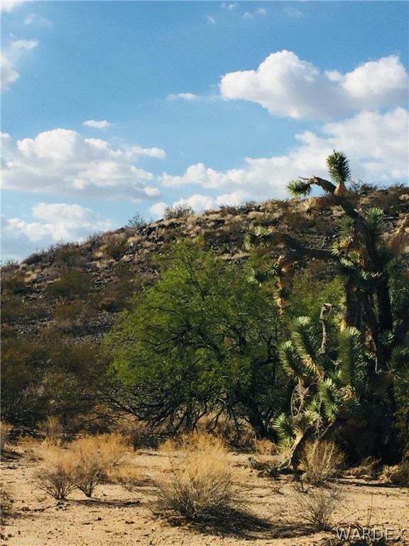 2363 South Gold Mine Road Yucca, AZ 86438 - Photo 4 of 9 Gallery Image 4