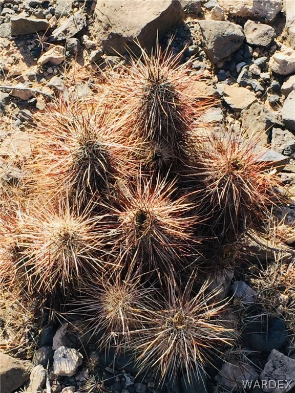 2363 South Gold Mine Road Yucca, AZ 86438 - Photo 5 of 9 Gallery Image 5