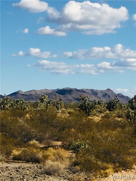 2363 South Gold Mine Road Yucca, AZ 86438 - Photo 7 of 9 Gallery Image 7