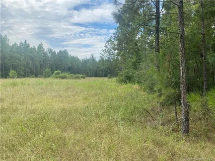 $130,000 | 0 Hwy 27 Highway South, Dequincy, LA 70633