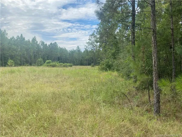 $130,000 | 0 Hwy 27 Highway South, Dequincy, LA 70633