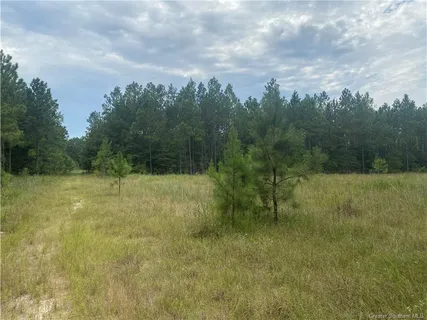 $130,000 | 0 Hwy 27 Highway South, Dequincy, LA 70633