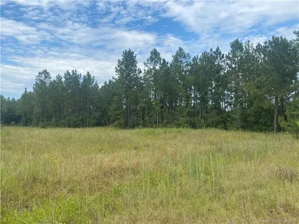$130,000 | 0 Hwy 27 Highway South, Dequincy, LA 70633
