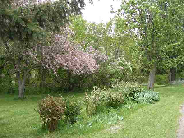 2284 East River Road Freeport, IL 61032 - Photo 7 of 9 a view of a lush green forest