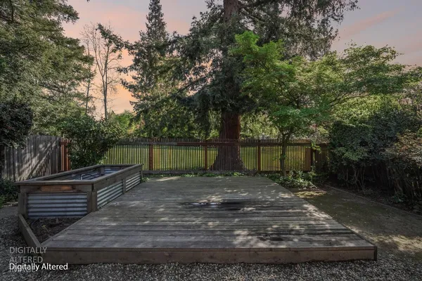 a view of a park with large trees