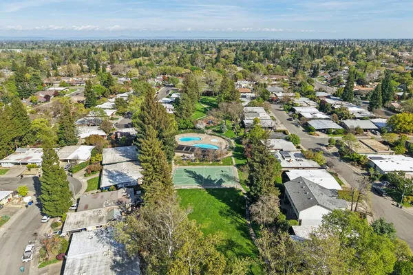 a view of a park with large trees