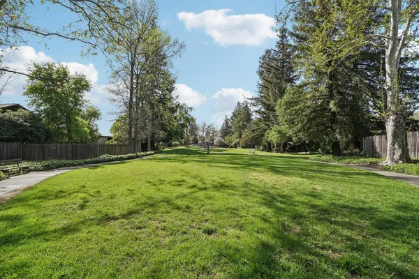 a view of a park with large trees