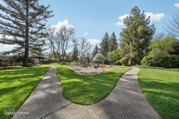 a view of a park with large trees