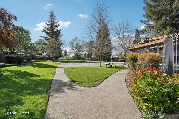 a view of a garden with flowers