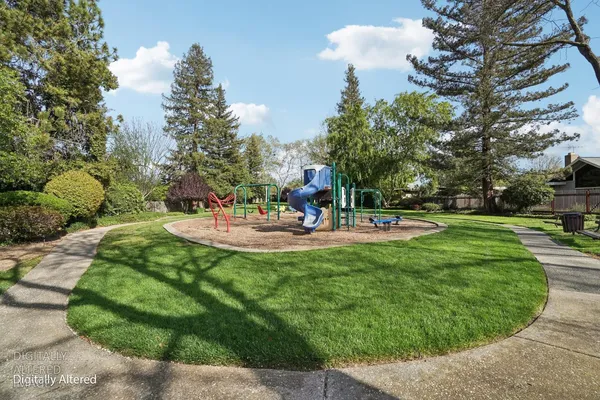 a view of a park with large trees