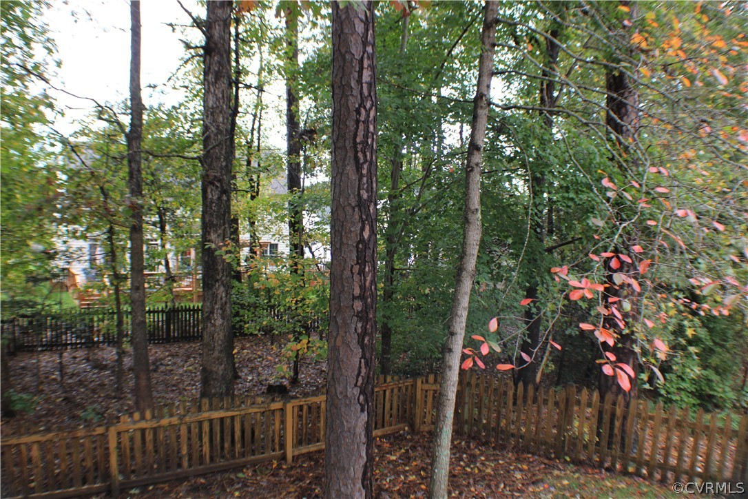 8530 Easton Ridge Place Chesterfield, VA 23832 - Photo 31 of 36 Your view from the deck overlooking your peaceful