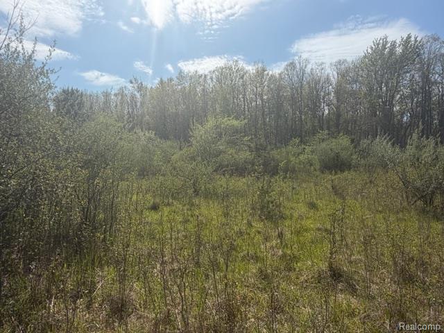 Parcel A & B Parcel A & B Kelch Road Mayville, MI 48744 - Photo 6 of 6