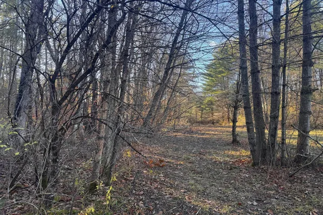 $160,000 | Lot 21 Sunderland Hill Road, Sunderland, VT 05250