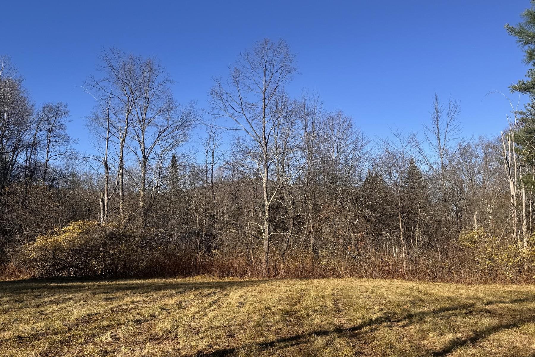 Lot 21 Sunderland Hill Road Sunderland, VT 05250 - Photo 14 of 17