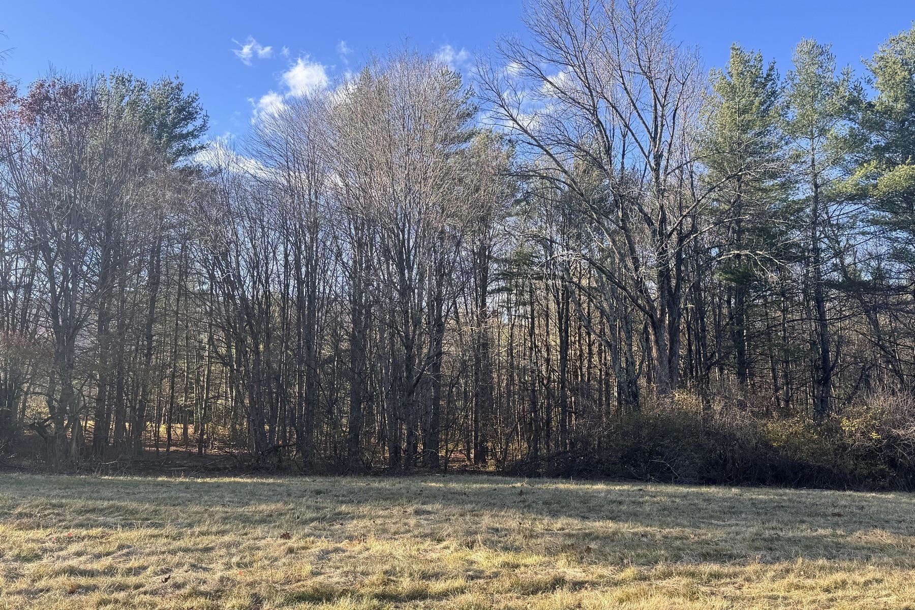 Lot 21 Sunderland Hill Road Sunderland, VT 05250 - Photo 15 of 17