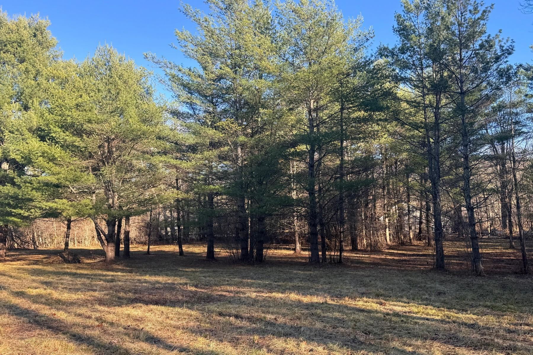 Lot 21 Sunderland Hill Road Sunderland, VT 05250 - Photo 17 of 17
