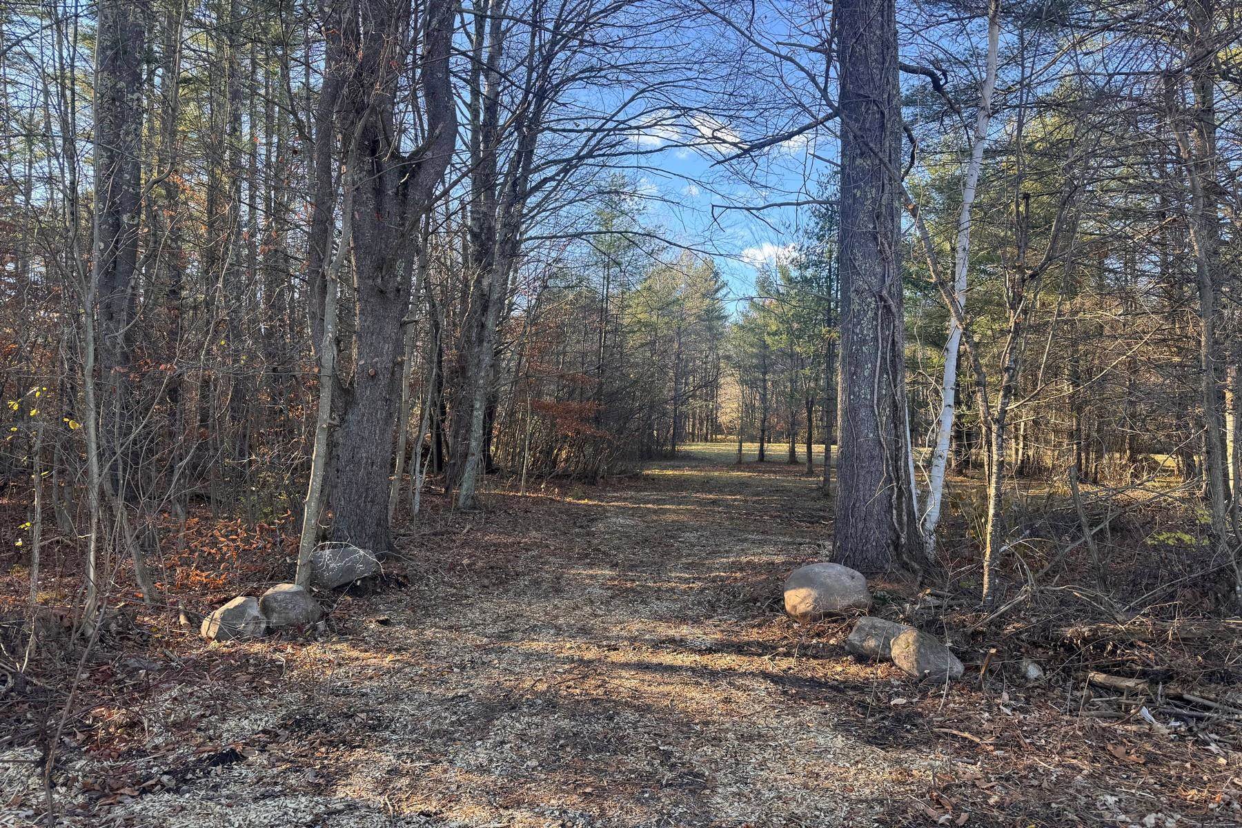 Lot 21 Sunderland Hill Road Sunderland, VT 05250 - Photo 2 of 17