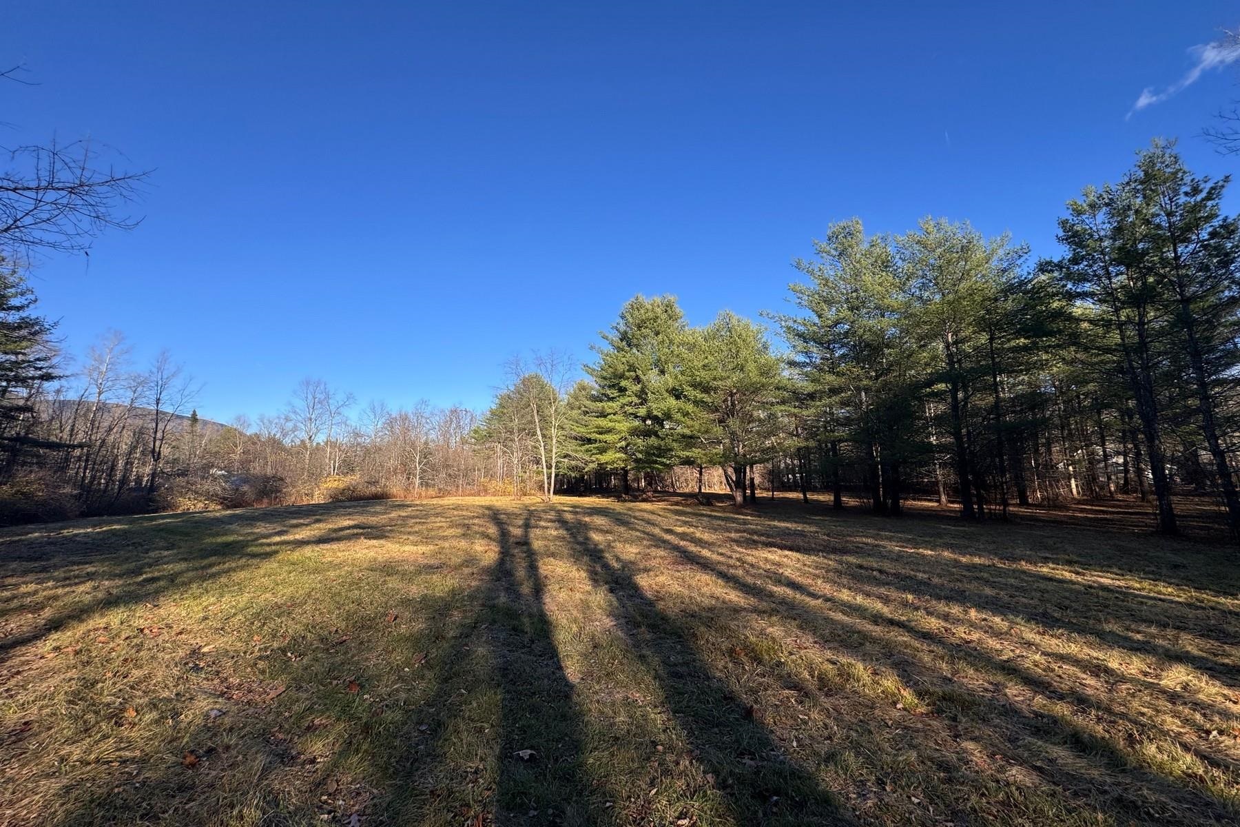 Lot 21 Sunderland Hill Road Sunderland, VT 05250 - Photo 8 of 17