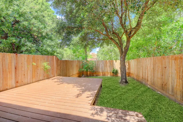 a view of backyard with tree