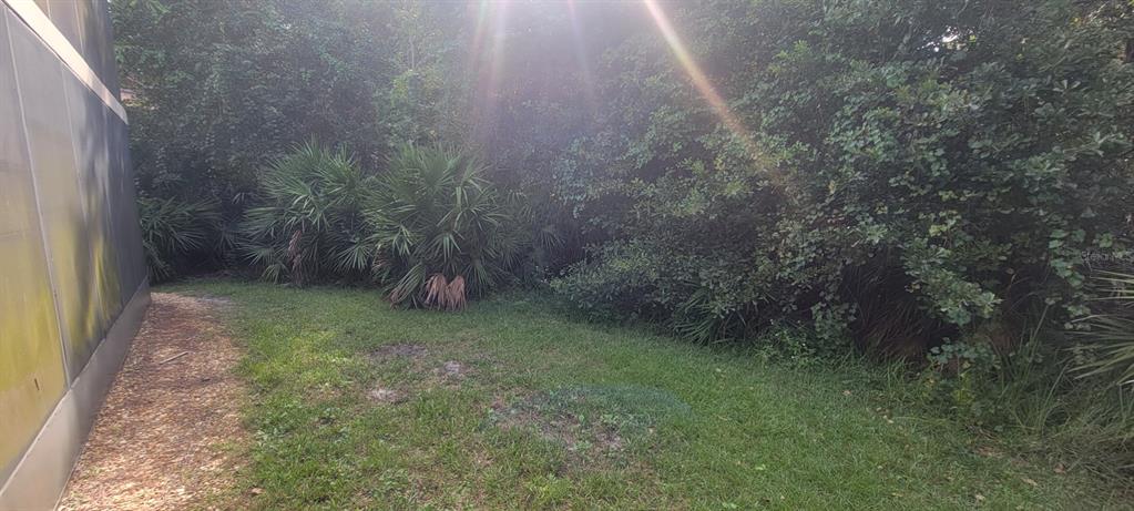 160 Live Oak Woods Court, Unit 3C Deltona, FL 32725 - Photo 19 of 19 a backyard of a house with lots of green space