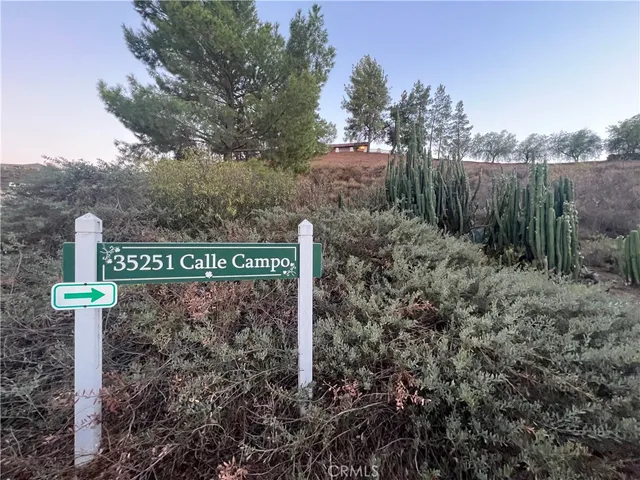 a view of a road with a yard