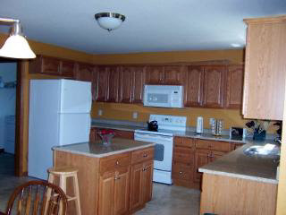 4175 Clegg Road Lambertville, MI 48144 - Photo 4 of 20 Granite counters