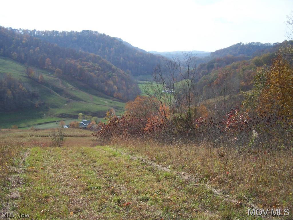 0 Uler Road Newton, WV 25266 - Photo 6 of 11 Beautiful views