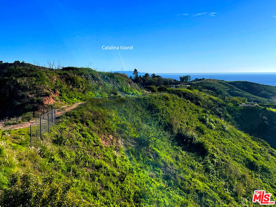 2825 Tuna Canyon Road Topanga, CA 90290 - Photo 10 of 38 a view of a green field with lots of bushes