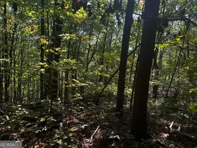 a outdoor view of multi story building