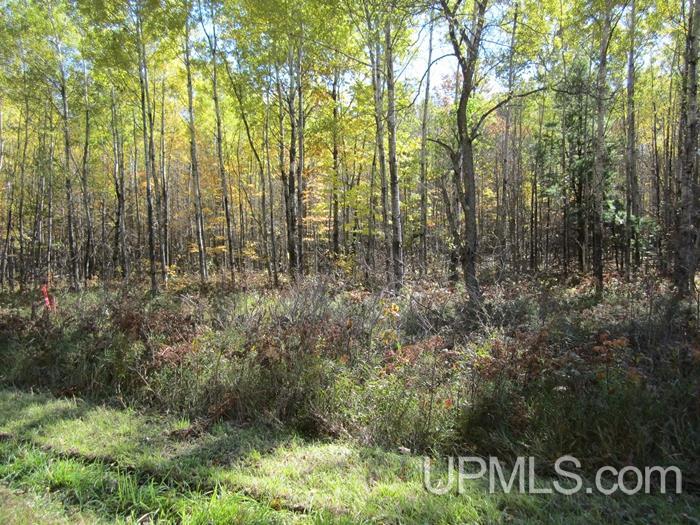 Tbd Horseshoe Road Pembine, WI 54156 - Photo 7 of 7 Gallery Image 7