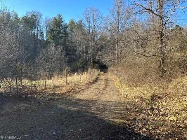 $1,000,000 | 290 Painter Lane, McGrady, NC 28649