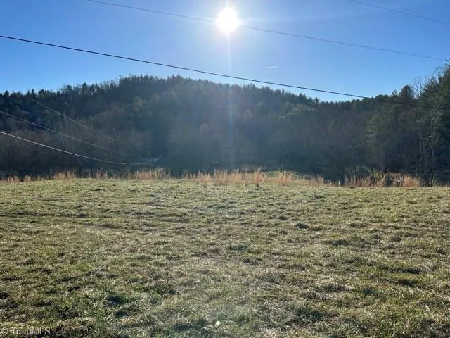 $1,000,000 | 290 Painter Lane, McGrady, NC 28649