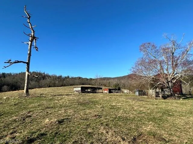 $1,000,000 | 290 Painter Lane, McGrady, NC 28649