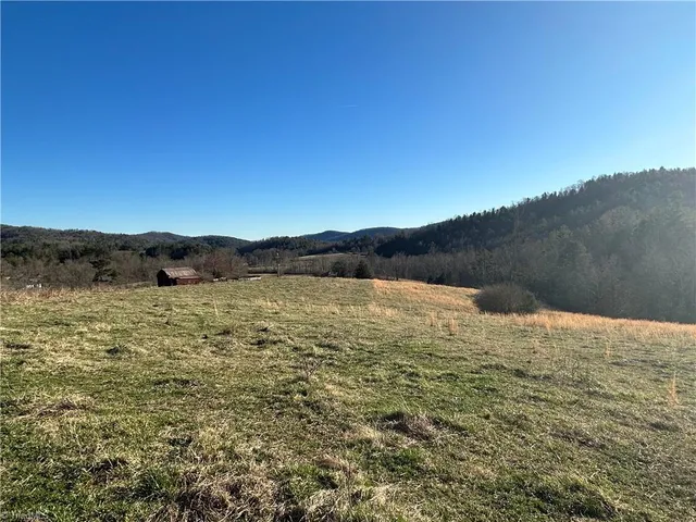 $1,000,000 | 290 Painter Lane, McGrady, NC 28649