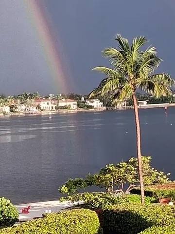 a view of a flower in a yard