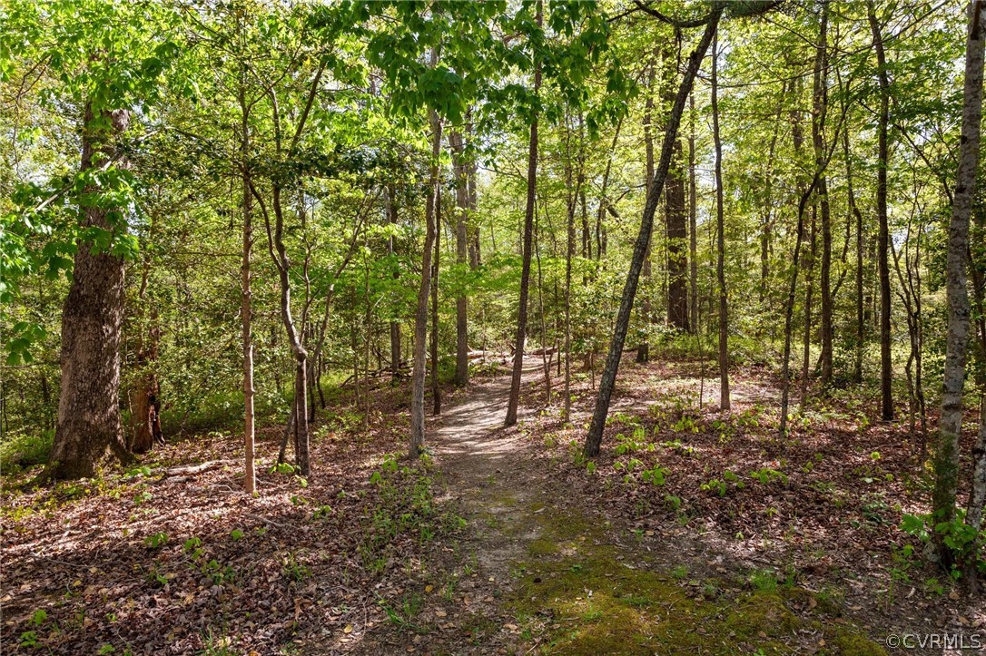 7525 Rural Point Road Mechanicsville, VA 23116 - Photo 43 of 48 Gallery Image 43