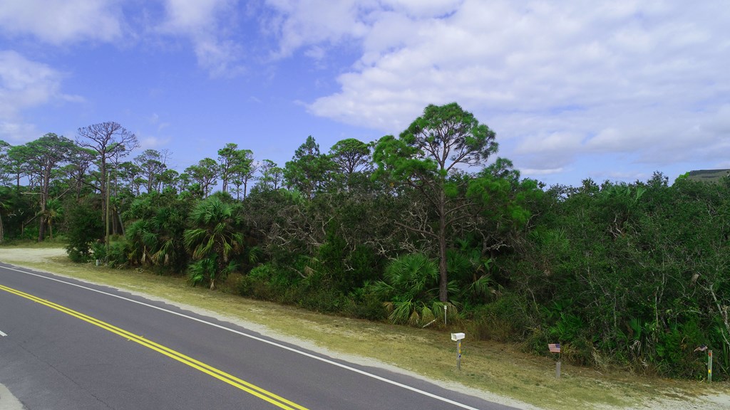 Lot 0 Indian Pass Road Port St. Joe, FL 32456 - Photo 3 of 10