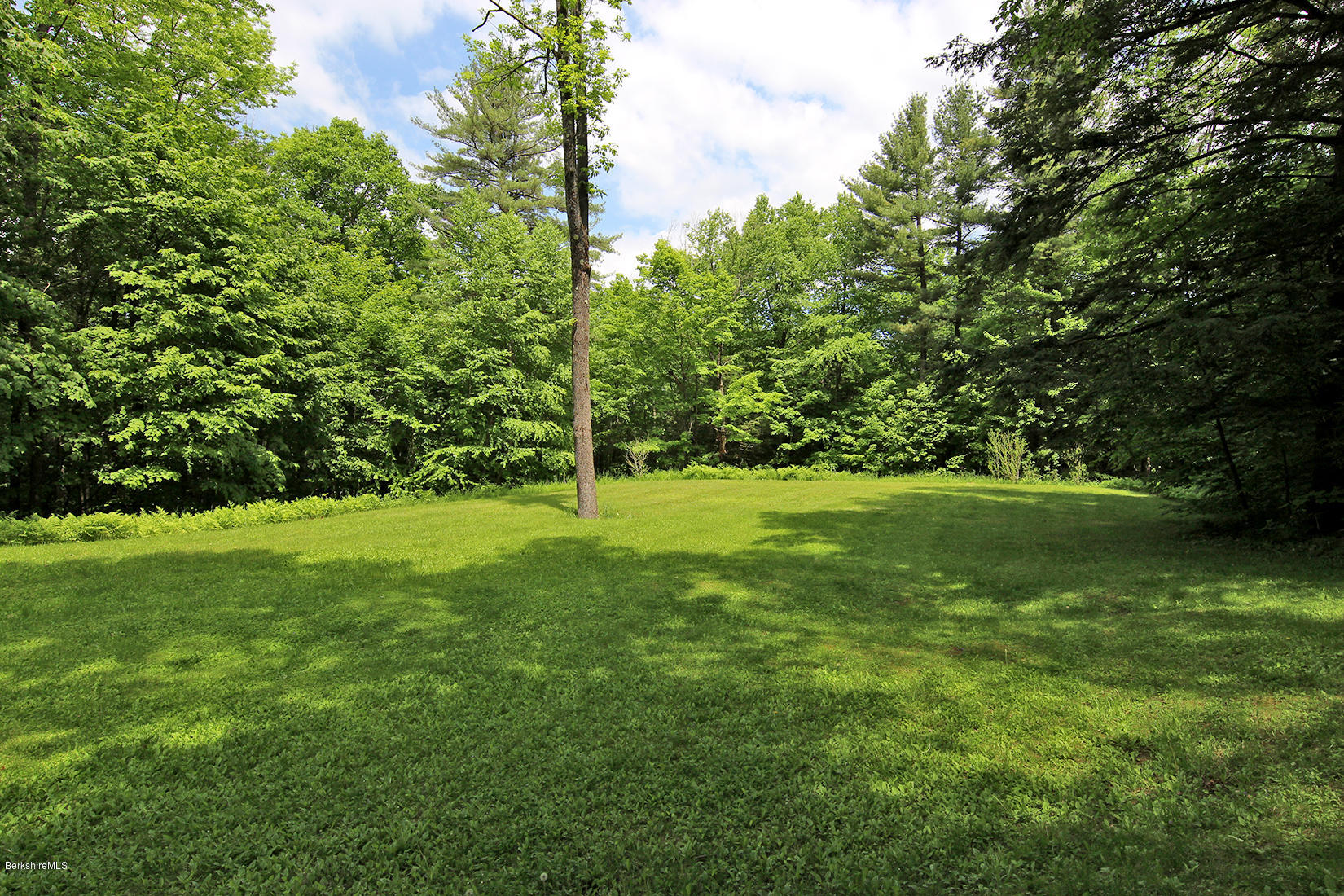 63 Monterey Road Tyringham, MA 01264 - Photo 21 of 34 a view of field with tall trees