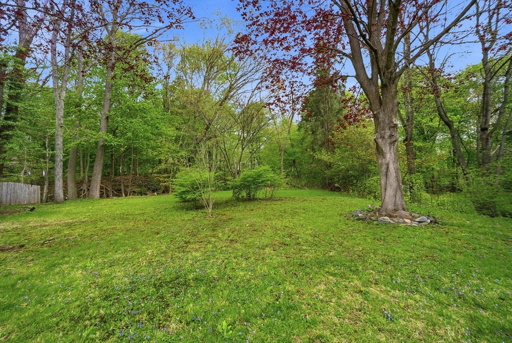 1 Ayrshire Road Worcester, MA 01604 - Photo 30 of 41 a backyard of a house with lots of green space