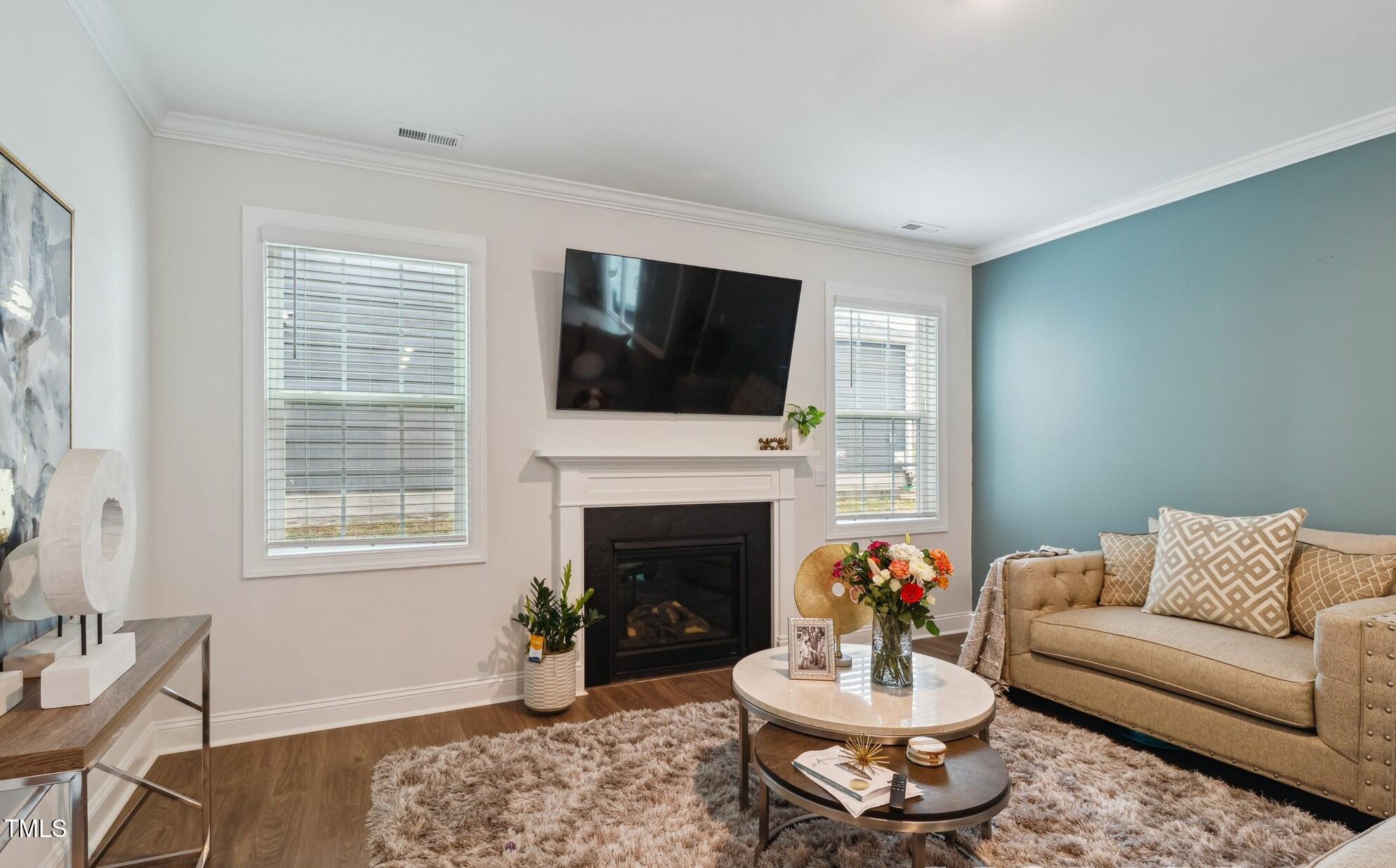 817 James J Freeland Memorial Drive Hillsborough, NC 27278 - Photo 8 of 33 a living room with furniture a fireplace and a flat screen tv