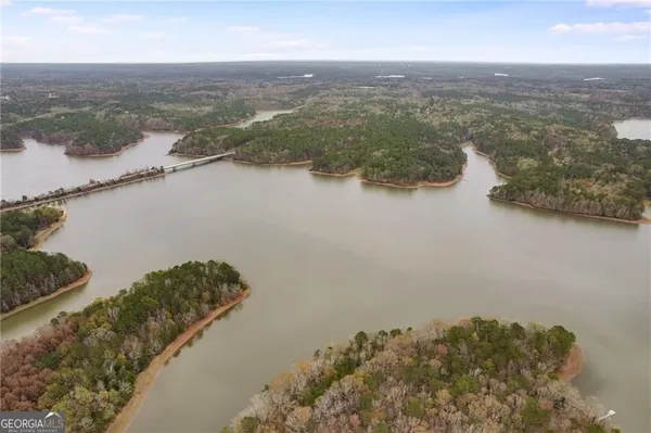 a view of a lake in middle of forest