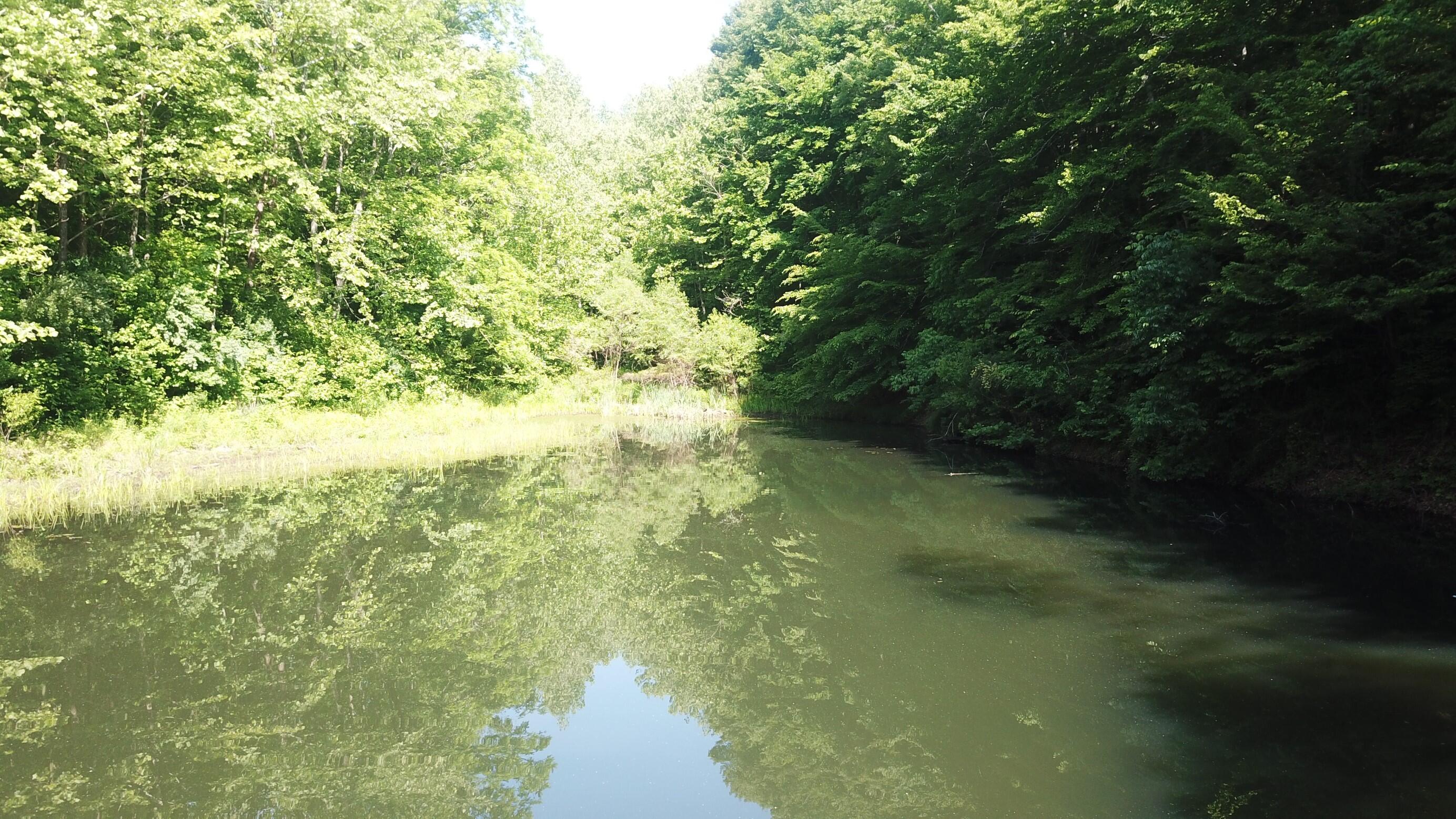 0 Emanuel Hollow Road Gray, KY 40734 - Photo 6 of 29 DJI_0020 (Custom)