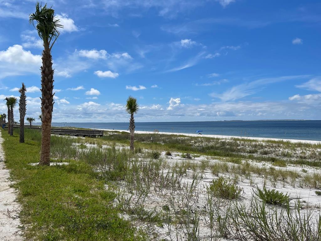 Tbd Hardy Street Port St. Joe, FL 32456 - Photo 4 of 5