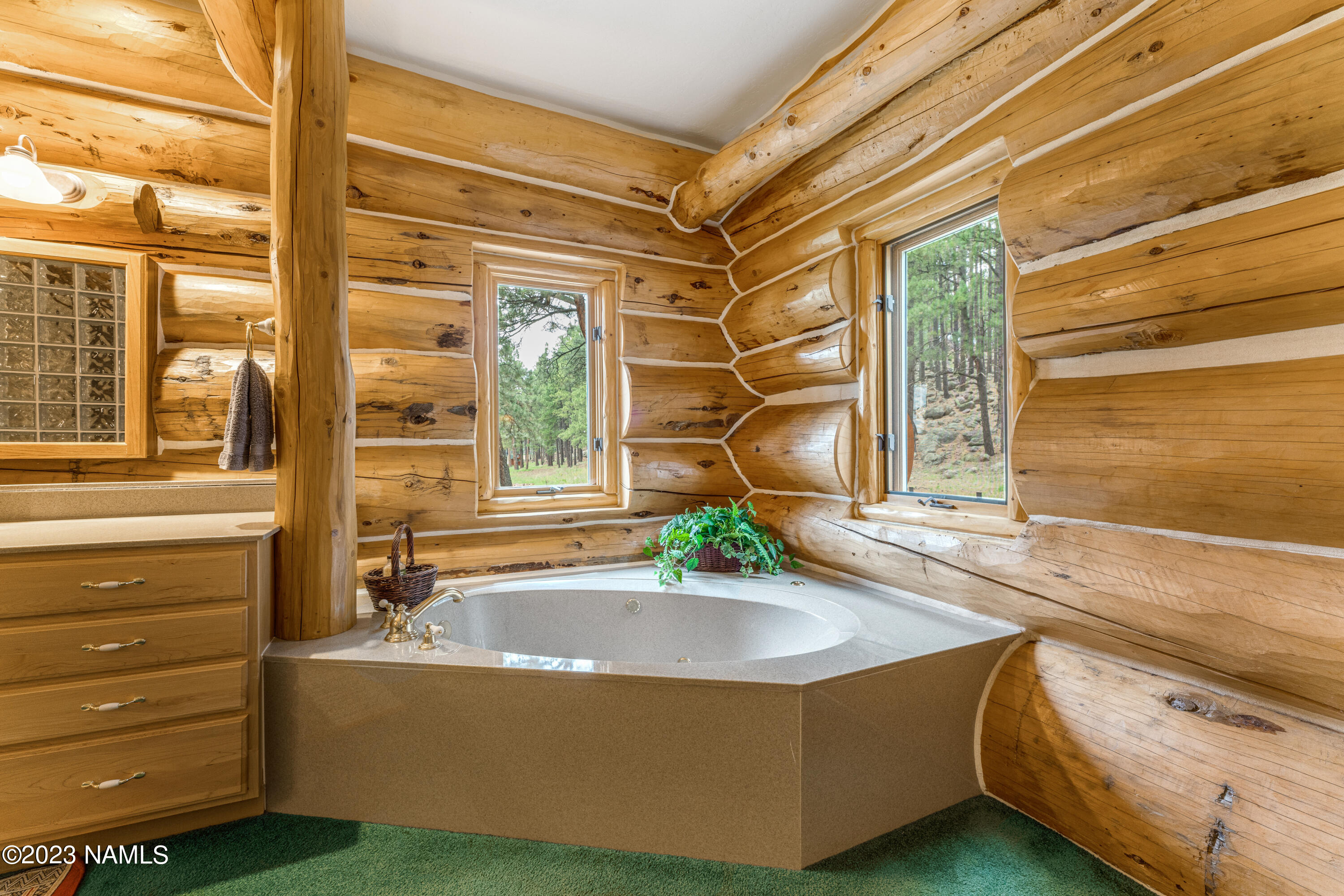 9400 North Snow Bowl Ranch Road Flagstaff, AZ 86001 - Photo 54 of 113 TCI--45
