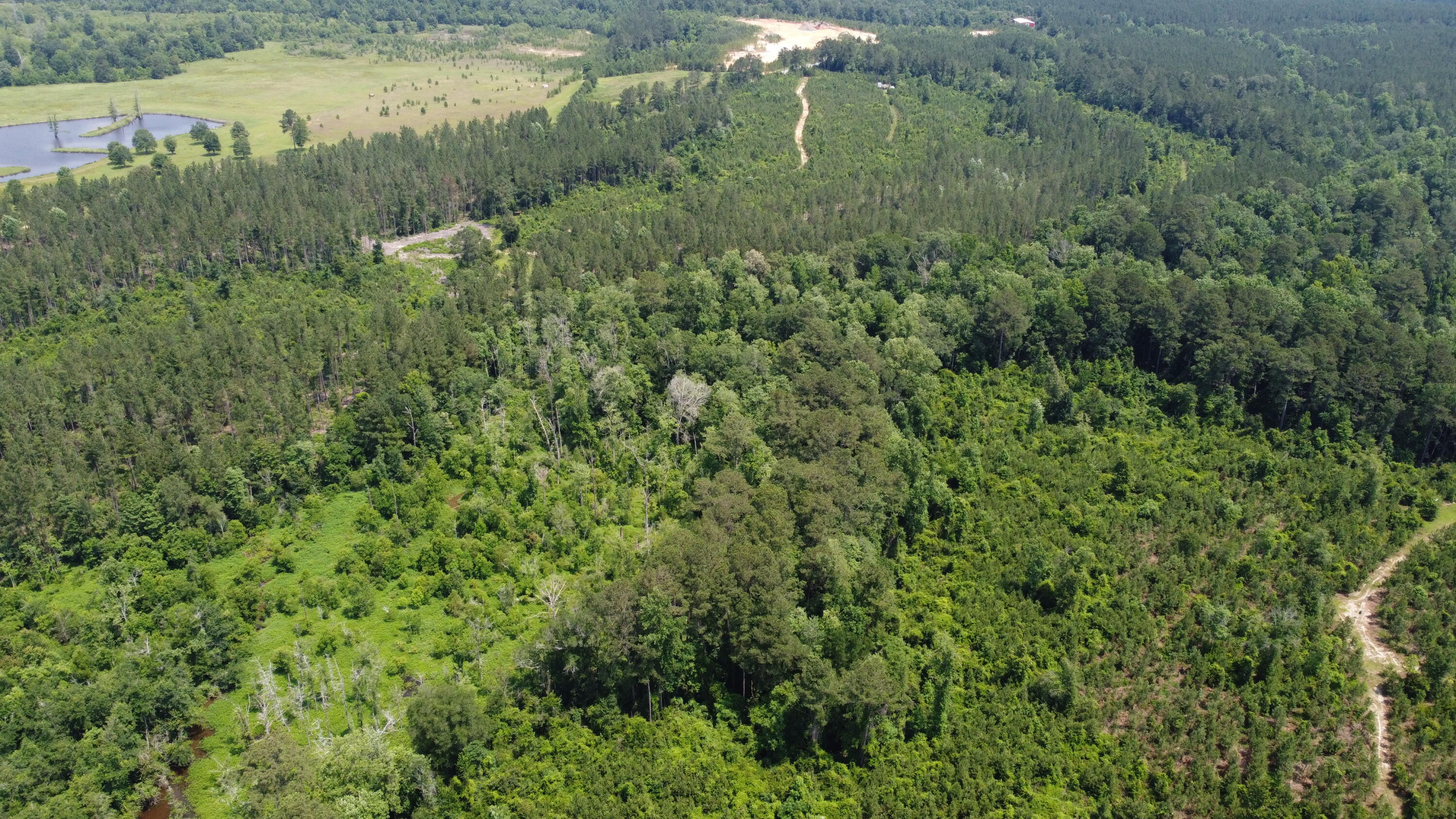 0 Pleasant Grove Road Laurel, MS 39443 - Photo 6 of 20 DJI_0941
